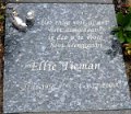 Tieman, Elisabeth 27.11.1956 (Rotterdam, Zuider begraafplaats)